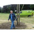 schutsboom_ (#84)